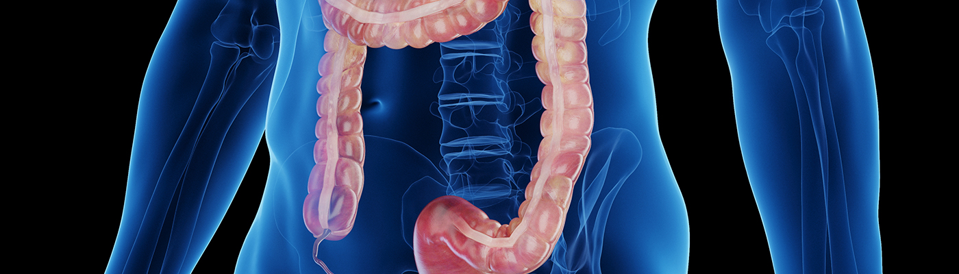 ������ȯ