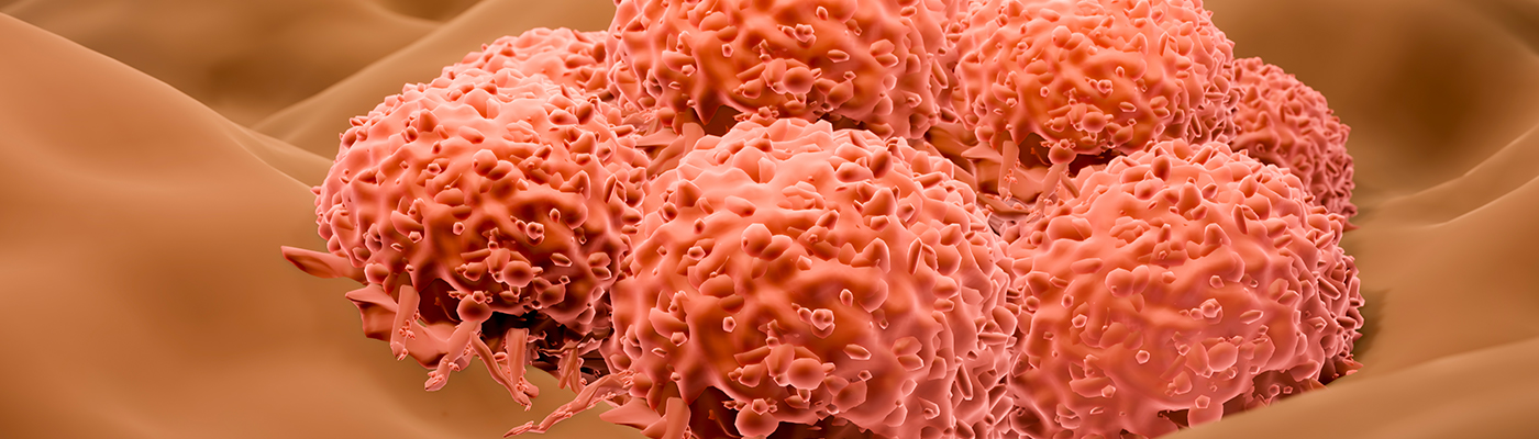 ��Ÿ�Ǻ����� �� ���